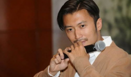 谢霆锋电视剧,谢霆锋的影视传奇之旅